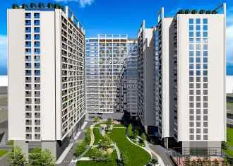 AYGINER PREMIUM